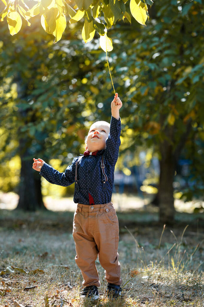 Portrait of a cute little boy on the background of nature. Holding a leaf. Walk in park. Family life. - Photo, Image