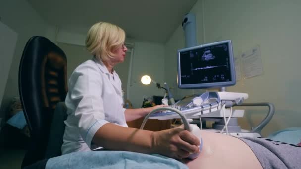 Female doctor is doing ultrasound of a pregnant woman - Кадри, відео