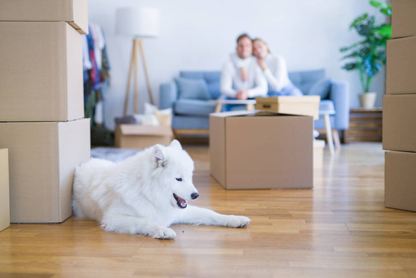 Giovane bella coppia con cane seduto sul divano in una nuova casa intorno a scatole di cartone
 - Foto, immagini