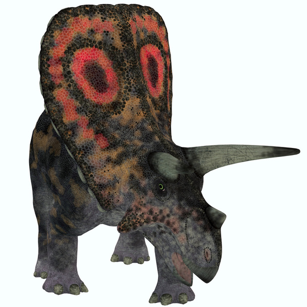 Torosaurus-fehér - Fotó, kép