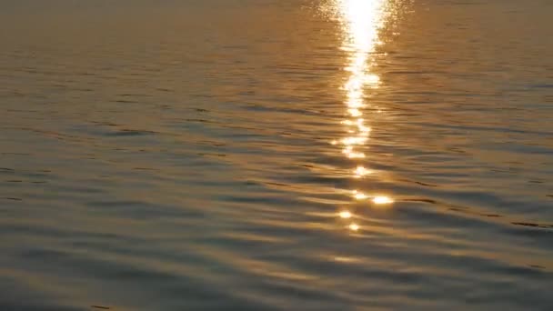 Zonnereflecties en schittering op het oppervlak van kalmerende golven van water in de zomer - Video