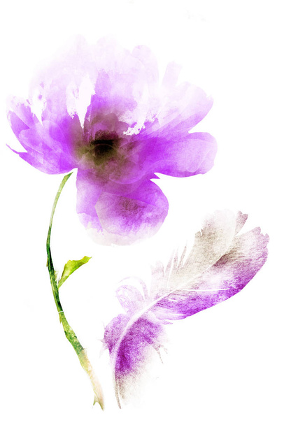 bouquet from flowers on white background - Zdjęcie, obraz