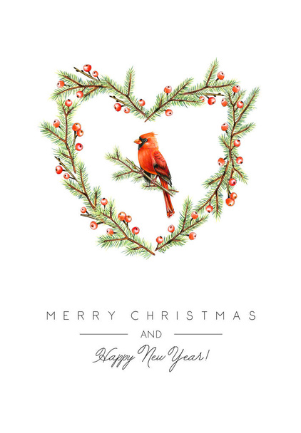 Vánoční přání s červeným kardinálem Birdem - Fotografie, Obrázek