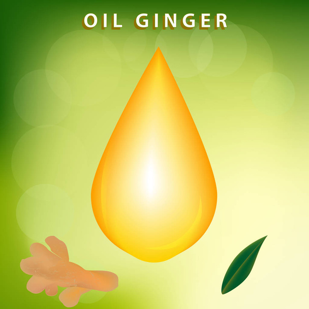 Ginger oil shiny big drop, root - vector. Medicinal plants. Healthy eating Cosmetic for massage. Spa. - Διάνυσμα, εικόνα