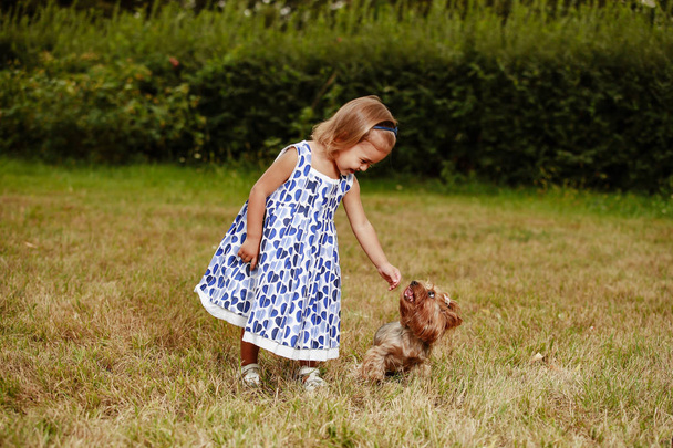 pieni tyttö mekko yorkshire terrieri
 - Valokuva, kuva