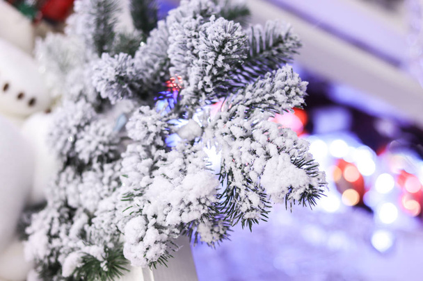 Rama de árbol de Navidad cubierta de nieve blanca. Tarjeta postal de enfoque suave para los deseos de vacaciones de invierno con espacio para el texto
. - Foto, imagen