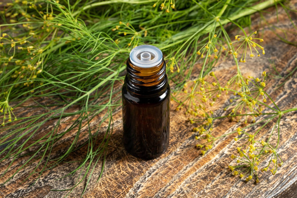 A bottle of dill seed oil with fresh blooming Anethum graveolens - 写真・画像