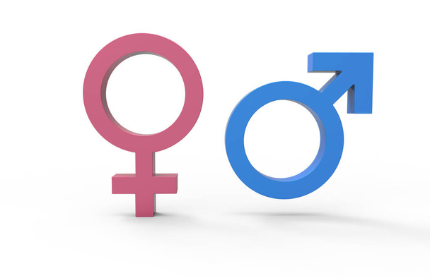 3d рендеринг Чоловічі і жіночі символи в синій і рожевий колір з тіні на землі. Сток-мажор
. - Фото, зображення