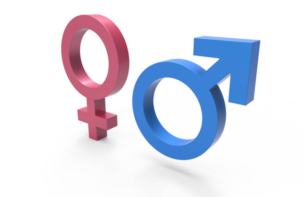 3D-weergave van mannelijke en vrouwelijke symbolen in blauw en roze kleur met schaduw op de grond. Voorraadbeheer. - Foto, afbeelding