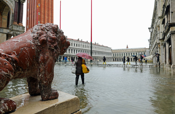 статуя льва на площади Святого Марка в Венеции в Италии с высоким
 - Фото, изображение