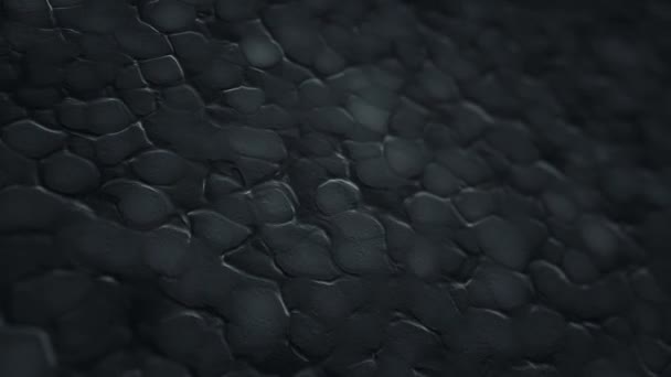 Abstract background with animation of black ripples in organic surface, Animation of seamless loop - Materiał filmowy, wideo