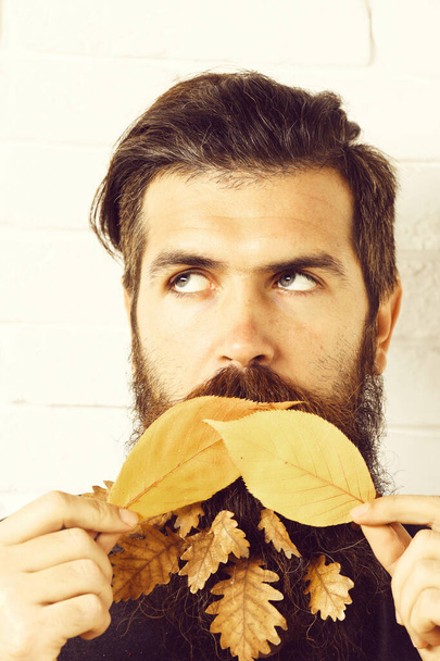 hipster with leaves in beard - Φωτογραφία, εικόνα