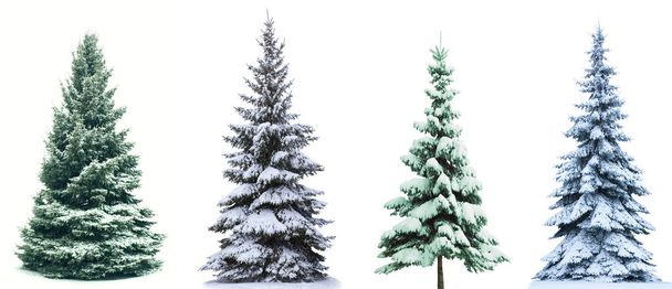 Boże Narodzenie drzewo kolaż - Zdjęcie, obraz