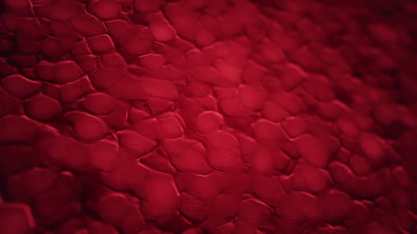 Abstract background with animation of red ripples in organic surface, Animation of seamless loop - Materiał filmowy, wideo