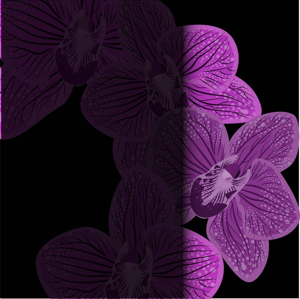 Abstract purple orhids illustration on black background. Realistic orchid for print design. Vector design illustration. Black dark background. Nature backdrop - Vector, Image