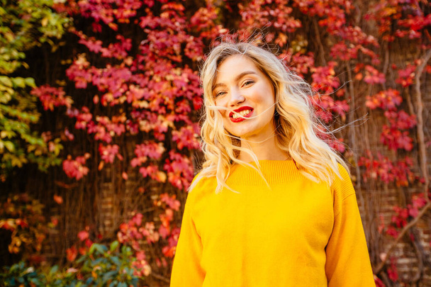 Lifestyle portrait of happy blond woman in yellow sweater flying hair, windy autumn sunny day on red brick wall with climbing grapes on background. - Photo, Image