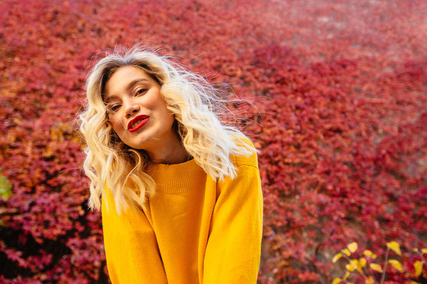 幸せなブロンド女性のライフスタイルの肖像画で黄色のセーターとともに赤い唇飛行髪,風の強い秋の晴れた日に赤レンガの壁に登山ブドウを背景に. - 写真・画像