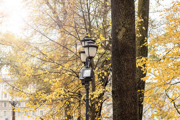Lantern in retro style on yellow trees background - Photo, Image