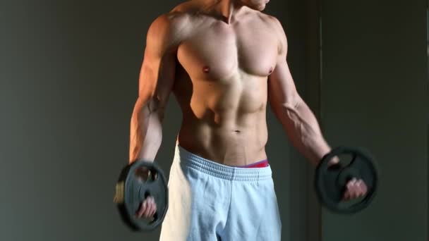 Young athletic man doing exercise in gym. Shoulders raise with plates - Footage, Video