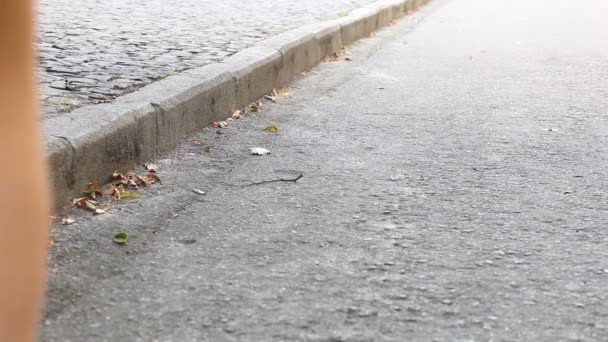 stanik kobiece nogi obcasy iść wzdłuż ulica - Materiał filmowy, wideo