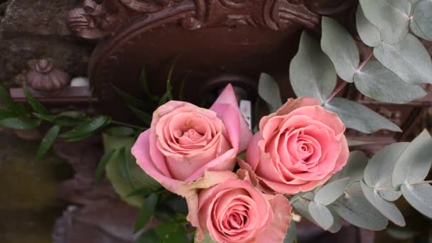 Rózsaszín rózsák a kertben. Szellő. Rózsa virág virágzik a zöld háttér. Szöveges hangulat - Felvétel, videó