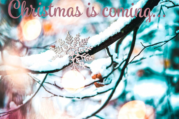 Christmas snowflake on the snowy branch. - Фото, зображення