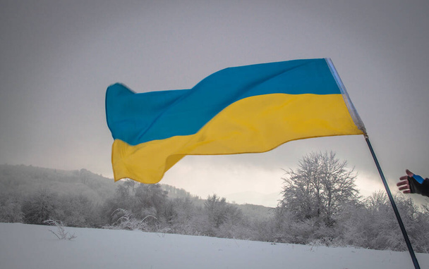 Ukrainische Flagge weht in den Bergen - Foto, Bild