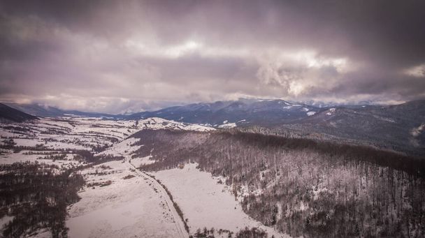 Winter in the Carpathians - Photo, image
