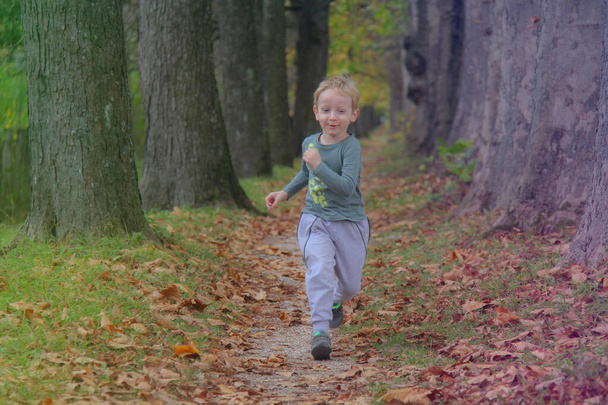 niedliches Kind, Junge hat Spaß auf der Herbststraße, hüpft und läuft ein - Foto, Bild