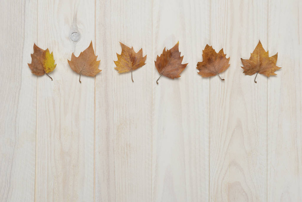 Gedroogde bladeren op witte houten ondergrond, herfstconcept - Foto, afbeelding