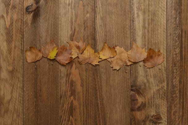 Kuivatut lehdet ruskealla puupohjalla, syksyn konsepti
 - Valokuva, kuva