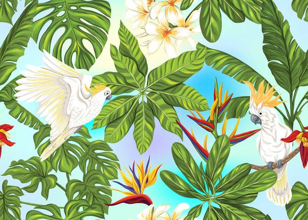 Bezešvé vzory, pozadí s tropickými rostlinami - Vektor, obrázek