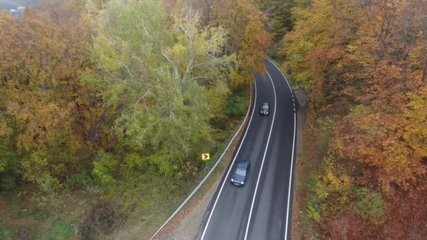 Vista aérea da estrada da floresta, estação de outono, bela paisagem colorida
 - Filmagem, Vídeo