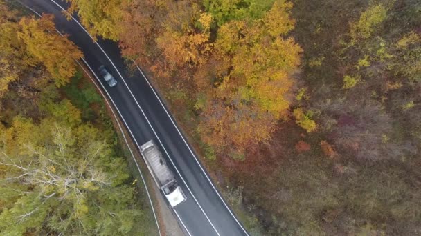 Vista aérea da estrada da floresta, estação de outono, bela paisagem colorida
 - Filmagem, Vídeo
