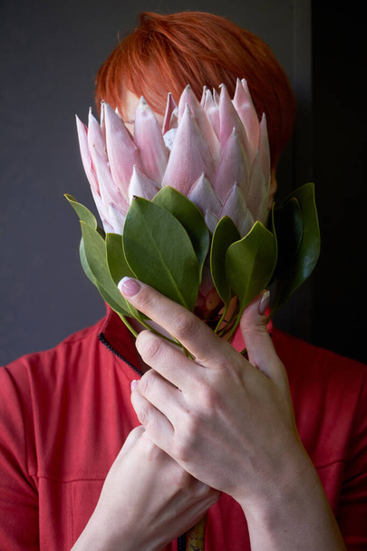 Unrecognizable red-haired female hands holding a pink protea flower in front of face on a dark background, selective focus - Foto, Imagem