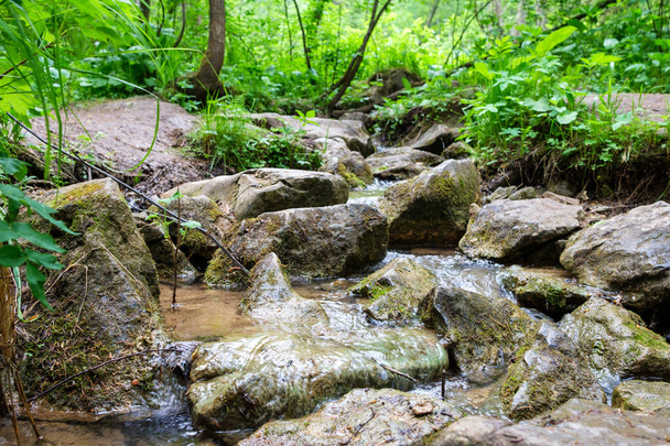 среди камней, покрытых мхом и палками, покрытых лесной грязью, течет ручей
 - Фото, изображение