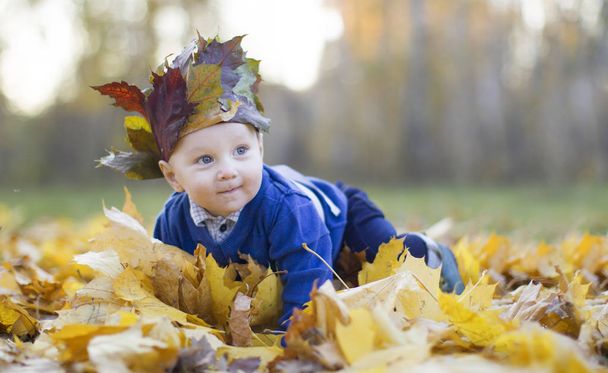 Bambino nelle foglie d'autunno. Bellissimo bambino in fogliame d'acero giallo
. - Foto, immagini