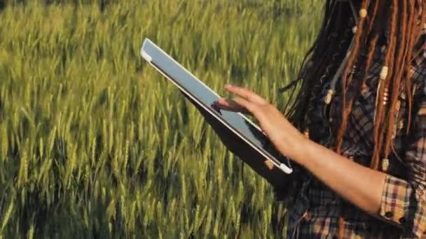 Fiatal nő munkás a búza mezők a kezében tabletta - Felvétel, videó