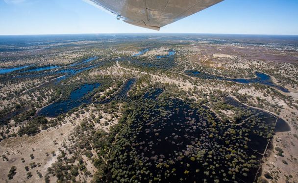 Légi felvétel az Okavango deltáról Botswanában, Afrikában - Fotó, kép