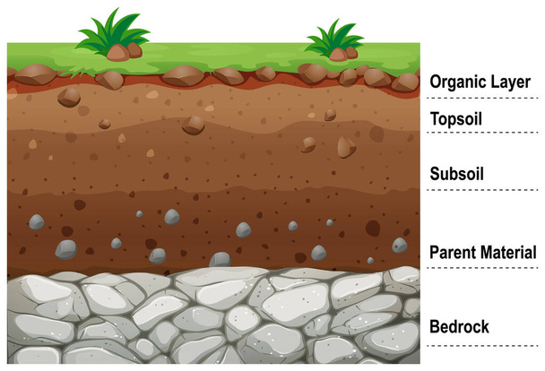 Diagram znázorňující různé půdní vrstvy - Vektor, obrázek
