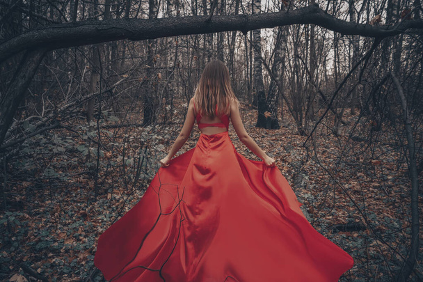 Young beautiful woman in the long flying red dress is walking along foggy mysterious forest - Fotó, kép