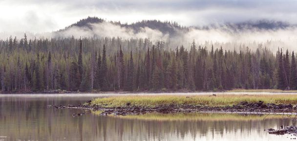 Serene beautiful lake in morning mountains, Oregon, USA. - Photo, Image