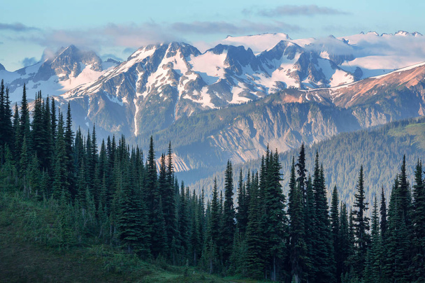 North Cascade Range, Washington / ABD 'de güzel bir dağ zirvesi. - Fotoğraf, Görsel