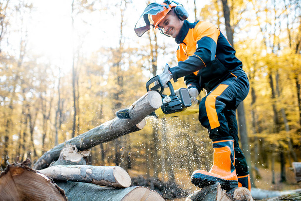Professional lumberjack in the forest - Photo, Image