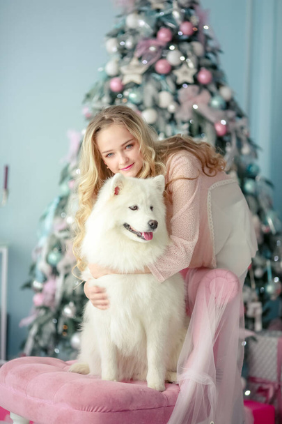 A girl and a dog in a New Years photo studio decorated in soft pink pastel colors - Zdjęcie, obraz