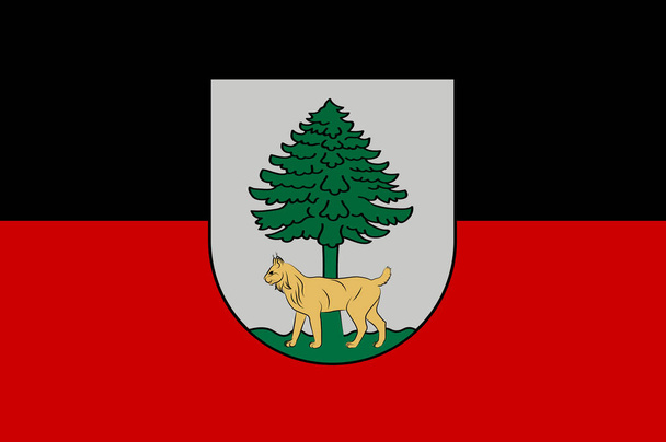 Flag of Jekabpils in Selonia in Latvia - Photo, Image
