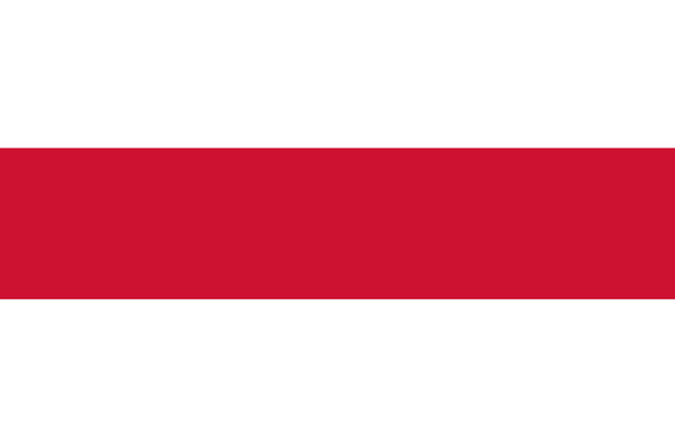 Bandiera di Enschede, Paesi Bassi
 - Foto, immagini