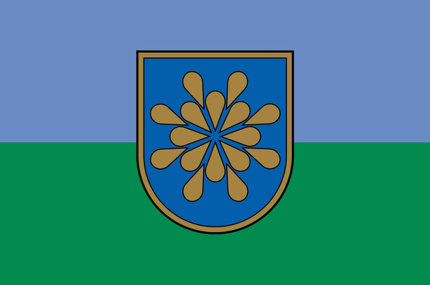 Прапор Салдус муніципалітету в Курлянзі в Латвії - Фото, зображення