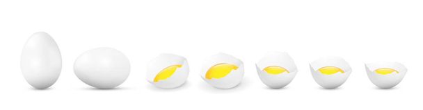 Realistic vector white eggs and broken eggs with yolk on white b - Vector, Image