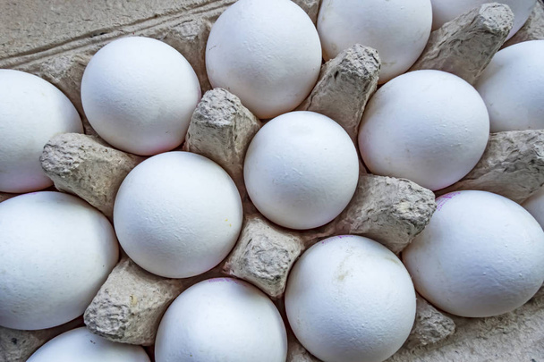 крупним планом білі курячі яйця в яєчному сепараторі
 - Фото, зображення